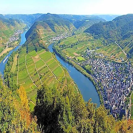 Weincafe Korkenzieher