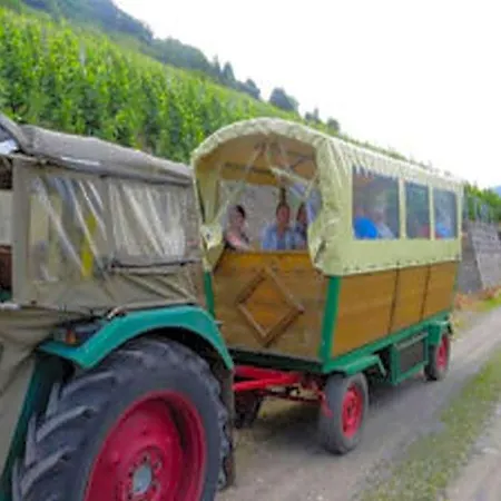 Weincafe Korkenzieher Otel Briedel